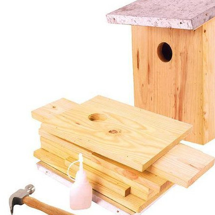 Jong Zuid nestkastje maken