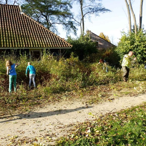 Natuurwerkdag in het Steenbergerpark
