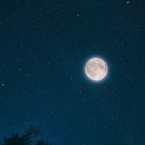 Nacht van de Nacht in het Steenbergerpark