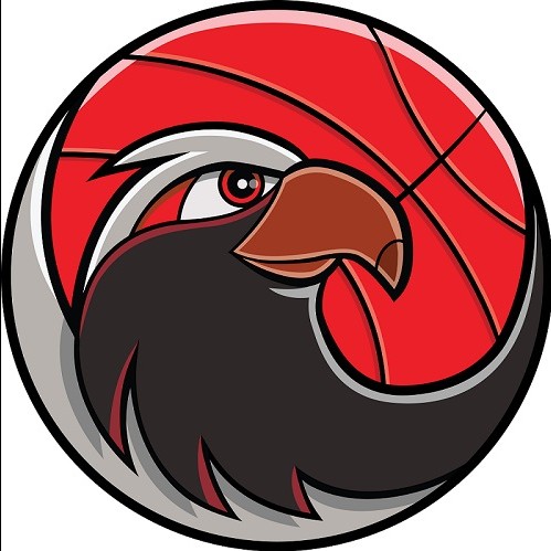 3x3 basketbaltoernooi groep 7 en 8 op 19 december