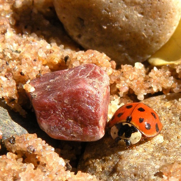Natuurlijke kijkdoos