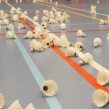 Schoolbadmintontoernooi groep 5 en 6