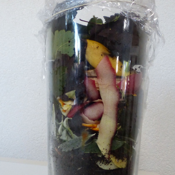 Compost in een vaas