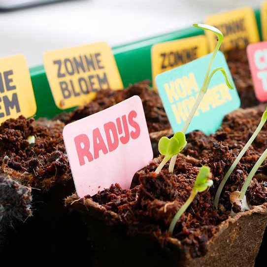 Jong Krakeel: Moestuin